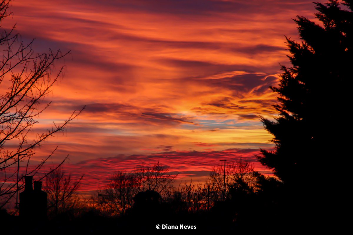 Take back time to the 1st sunset of Feb this year 😍. Can't wait to see more like these! @StormHour, @ThePhotoHour, @CloudAppSoc, @CanonUKandIE, @ChelmsCouncil #sunset #photography #loveukweather #photooftheday #essex