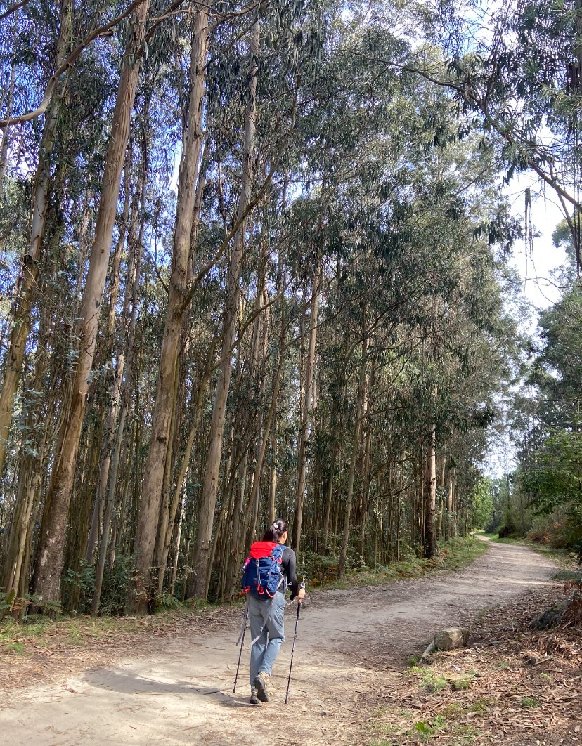 Camino de Santiago, Galicia 🇪🇸 Vigo - Redondela