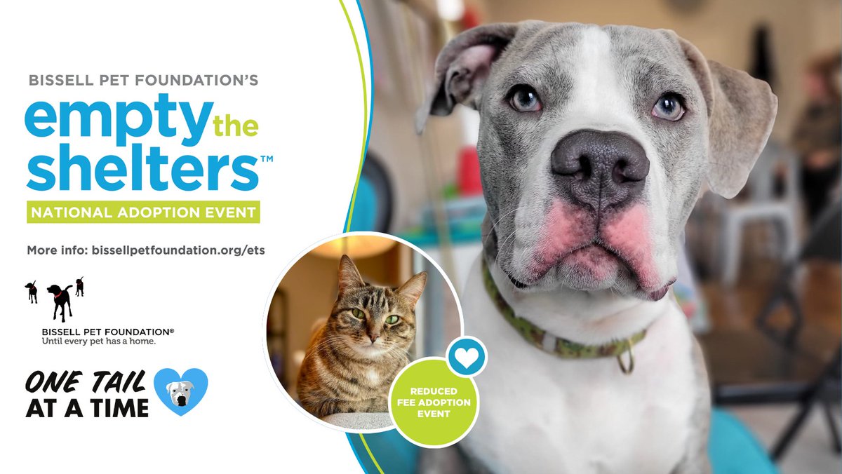 One Tail at a Time (OTAT) (@onetailatatime) on Twitter photo We're excited to participate in <a href="/BISSELLPets/">BISSELL Pet Foundation 🐶🐱</a> Empty the Shelter National Adoption Event! May 1st-15th all adult dogs, cats, and critters will have a reduced adoption fee of $25.
Adopt your new best friend! -> onetail.org We're excited to participate in <a href="/BISSELLPets/">BISSELL Pet Foundation 🐶🐱</a> Empty the Shelter National Adoption Event! May 1st-15th all adult dogs, cats, and critters will have a reduced adoption fee of $25.
Adopt your new best friend! -> onetail.org