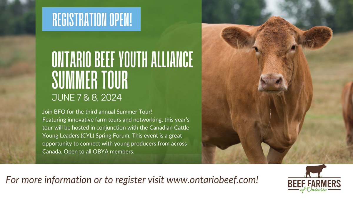 📢Calling all Ontario Beef Youth Alliance members! 📢We invite you to join #BFO and the @cdncyl Spring Forum for our annual tour and networking event to be held on June 7-8th in southwestern ON. Details and registration here: ow.ly/CkSn50RtTMe #OBYA #tellyourfriends