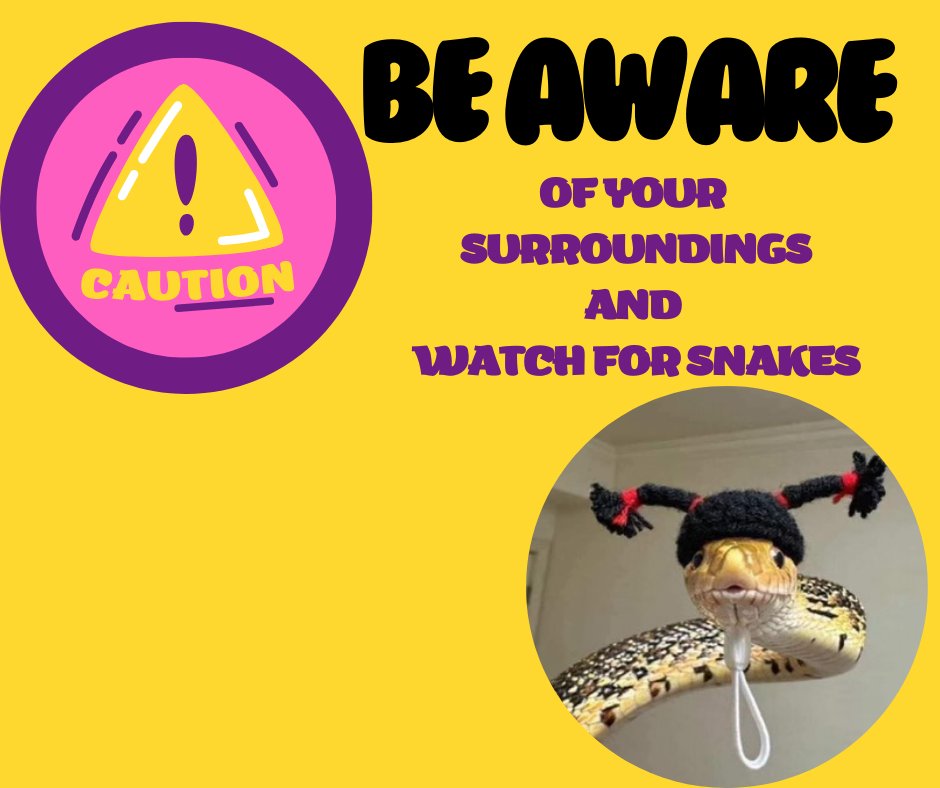 Not all snakes in hats are cute, please be aware of your surroundings and stay safe!