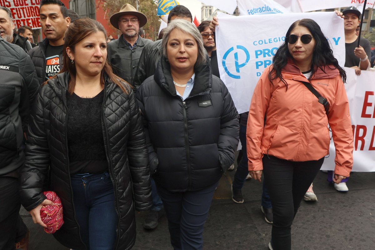 Le faltó la polera matapacos a esta comunista .