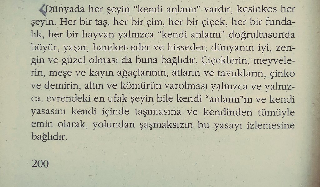 Hermann Hesse