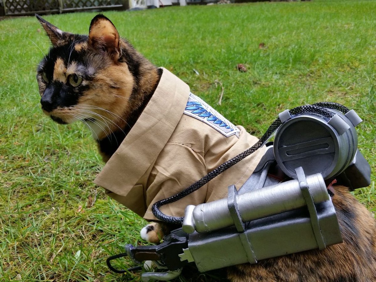 buy $AOCAT, dummy 😾⚔️🪽