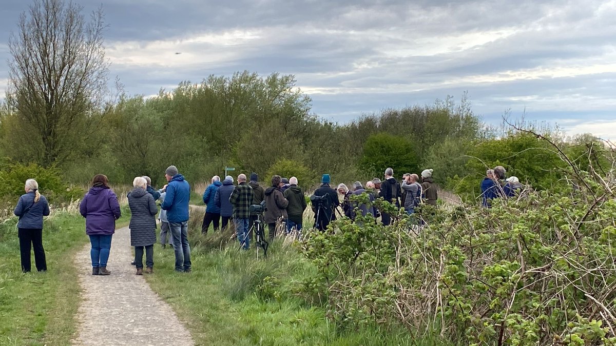 Many thanks to all the @FyldeBirdClub members who turned out yesterday evening for a great walk at @MartonMereLNR Whinchats, Wheatear, Grasshopper, Reed, Sedge & Cettis Warblers, Barn Owl & Whimbrel being the highlights