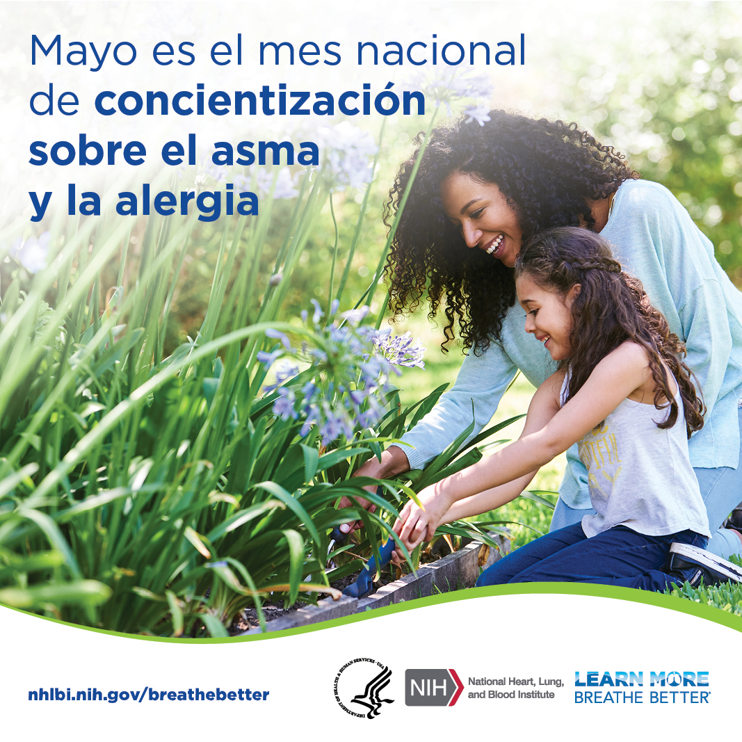 ¡Mayo es el Mes Nacional de Concientización sobre el Asma y las Alergias! Nos unimos a NHLBI y @BreatheBetter para compartir información y recursos para manejar su #asma y pueda respirar mejor. #BreatheBetter Aprenda más: nhlbi.nih.gov/es/salud/asma #AsthmaAwareness