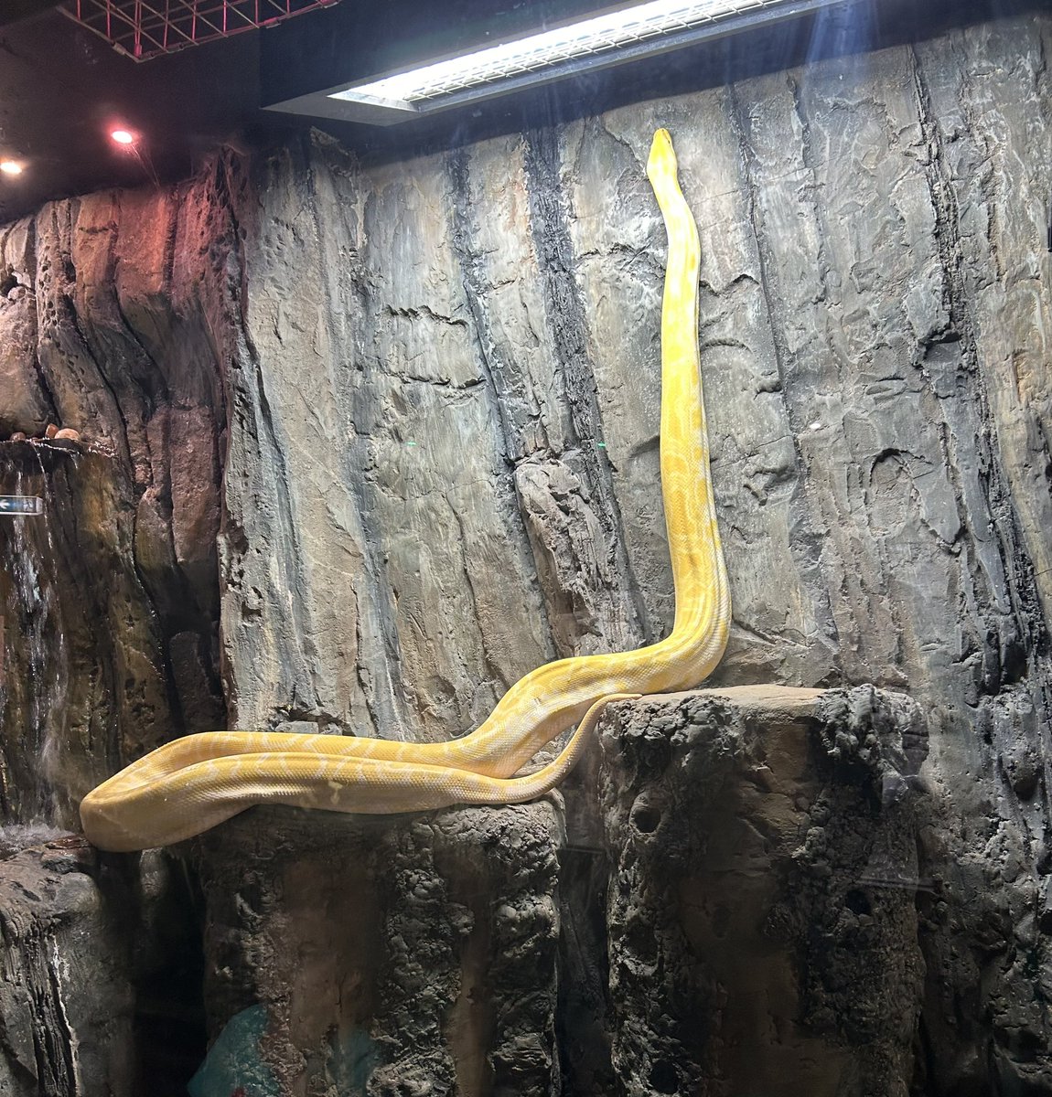 Katy__Perry's tweet image. Another fab day @WhitePostFarm never seen Willow so active before!