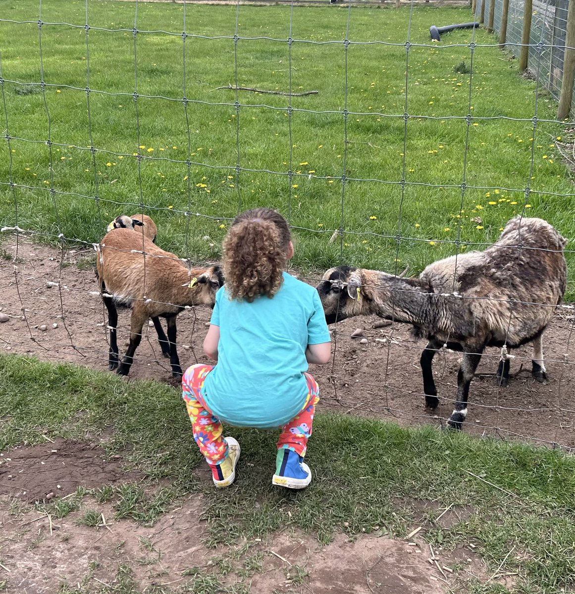 Katy__Perry's tweet image. Another fab day @WhitePostFarm never seen Willow so active before!