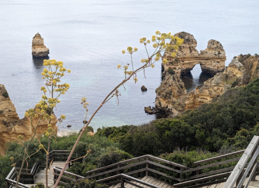 Sun, sea and beautiful coastlines this week. 🌞
Lagos and Benagil Cave