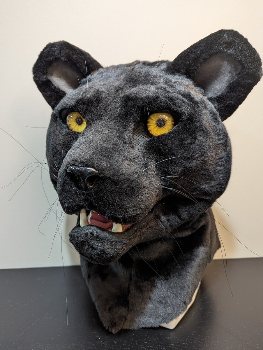 Black Jaguar Partial - $4,600 + s/h Comes with head, hands, tail and arm sleeves! DM me to buy or purchase here: thedealersden.com/listing/black-… #fursuitforsale #furry #fursuit