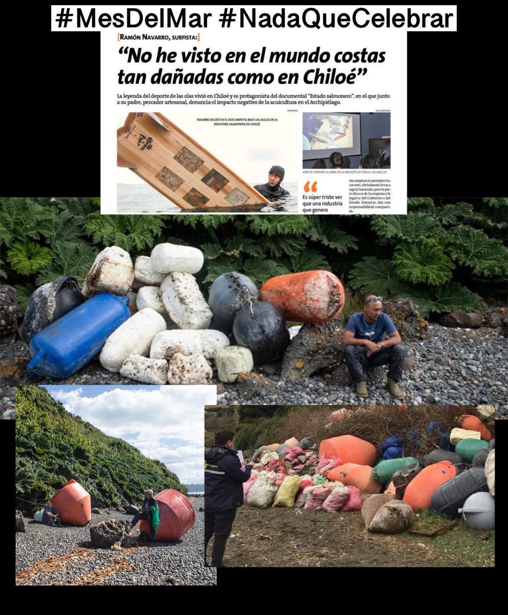 Llegó Mayo . Mes cargado de efemérides en que inicia el MES DEL MAR . Un mar que desde siempre nos ha dado tanto , oxígeno que respiramos , alimentos , medicina y que en la última década , nuestra inconsciencia lo tiene con la mayoría de las pesquerías sobreexplotadas…