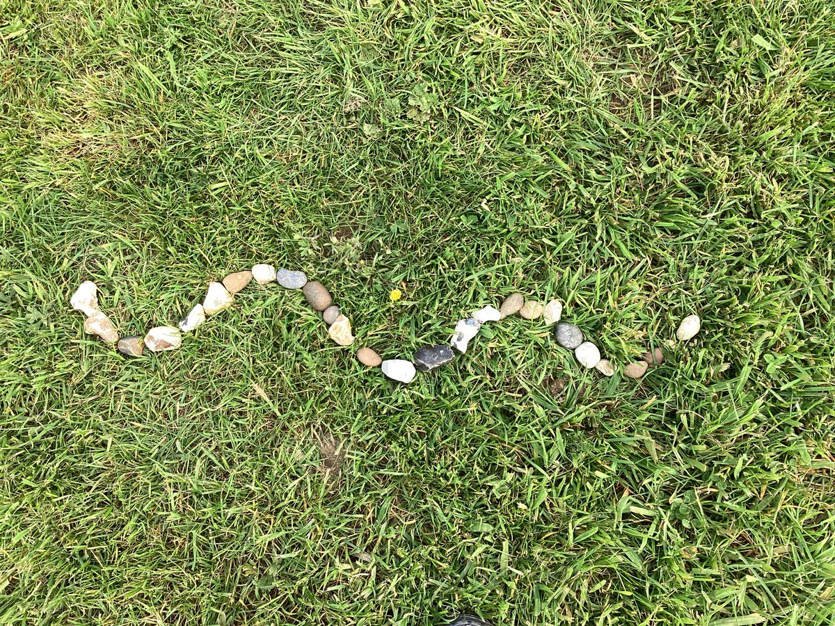 #YorkHouseY4 natural, artistic creations using inspiration from @andygoldsworthy. Today’s challenge was to create a piece using a serpentine shape or an arch. @YorkHouseSch we also tried the mandalas and spirals last week! #TheYorkhouseWay