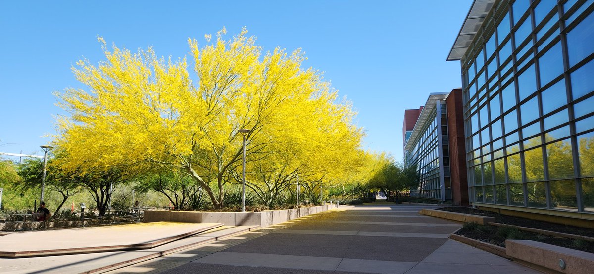 I ❤️ @ASU in Spring.