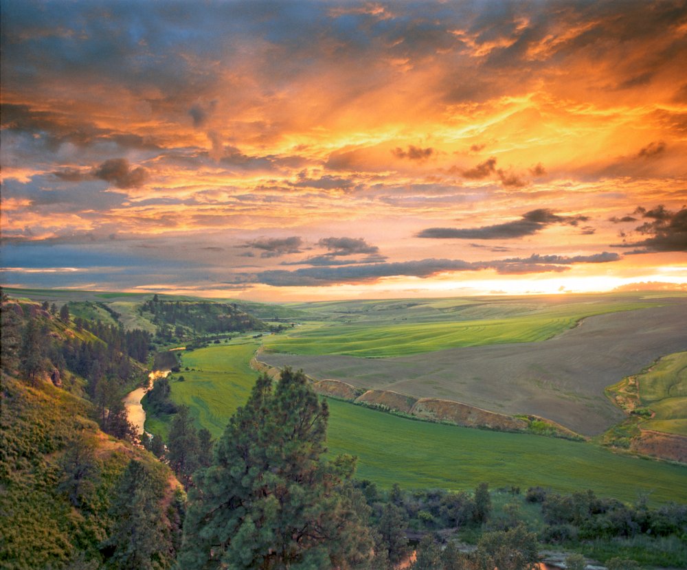 Sunset on the Palouse, Washington! 🤩 Deposits over Millennia make this huge area rich for agriculture!