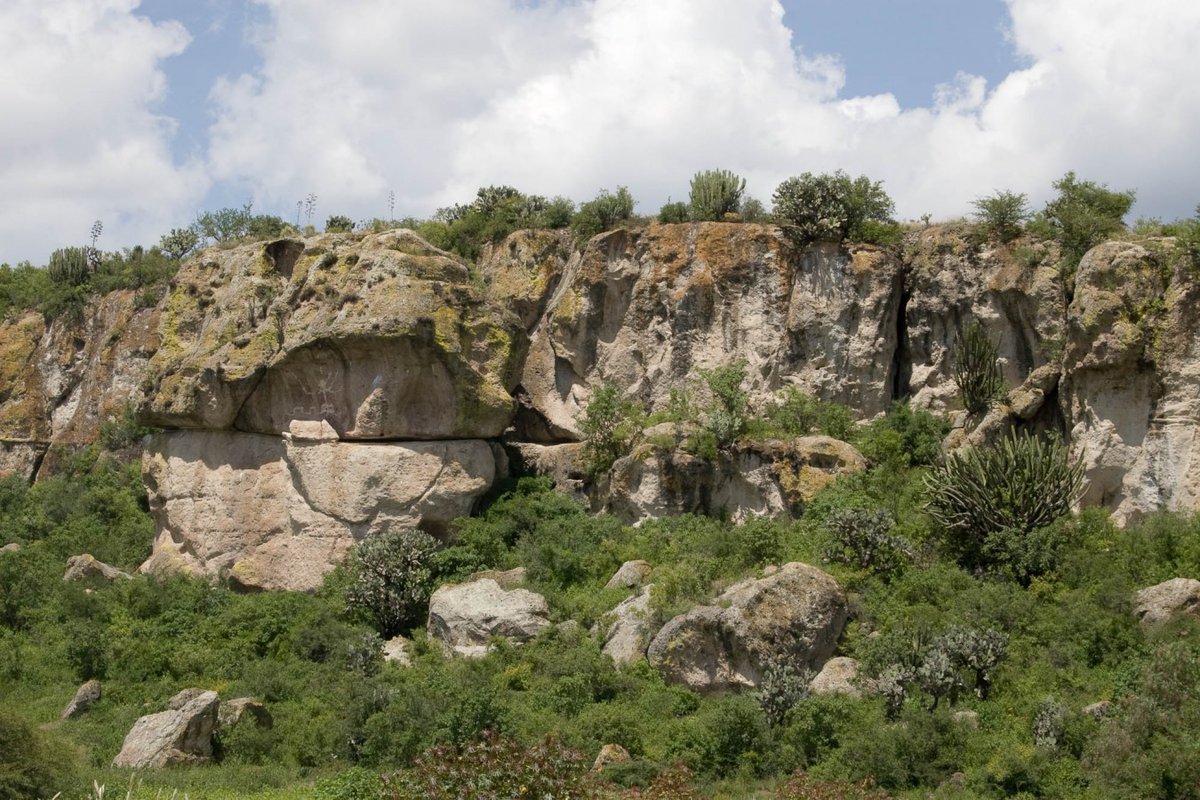 En los valles centrales de #Oaxaca se han encontrado numerosas cuevas que nos dan luz sobre el origen de la agricultura en #Mexico. Los ambientes controlados al interior de las cuevas conservan bien los restos vegetales, como carbón, hojas o semillas.
#arqueologia