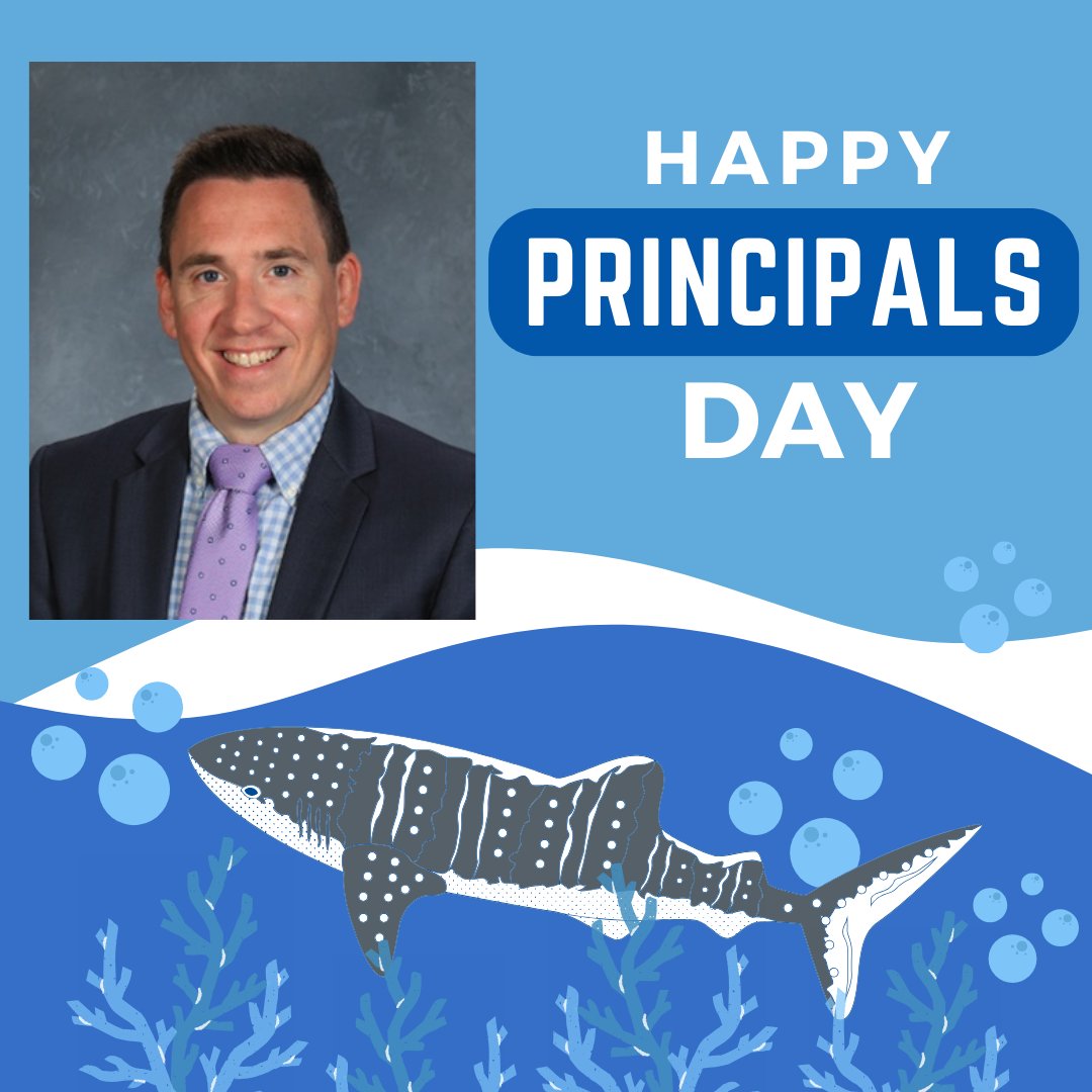 Lillian Schumacher Elementary 🦈 tweet media