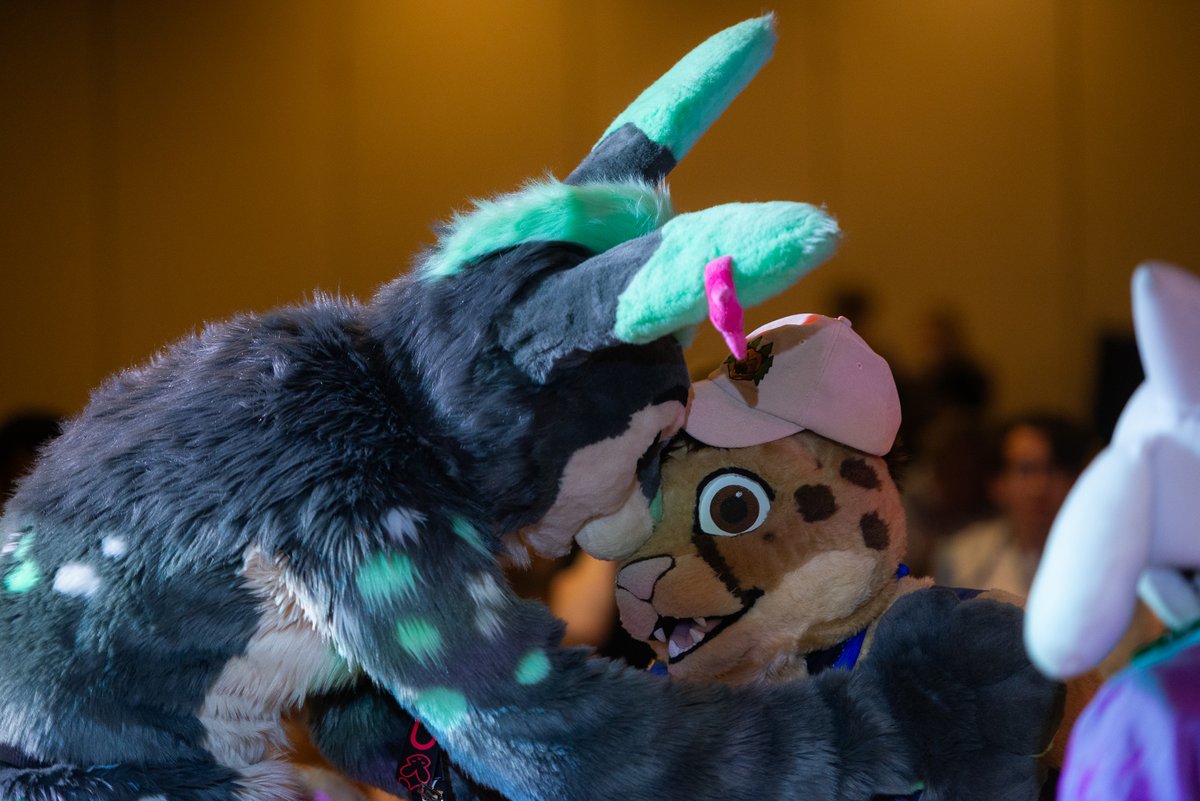 'Go on without me!'
Chirpy (@ChirpyCheetah) & Min (@DustinDoggo) #FCL2024