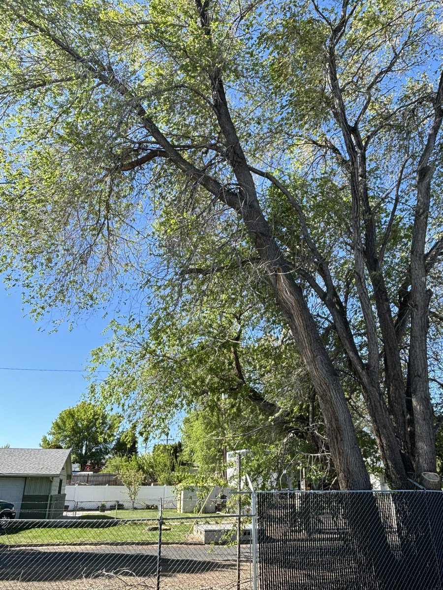 It’s a pretty day outside my door.