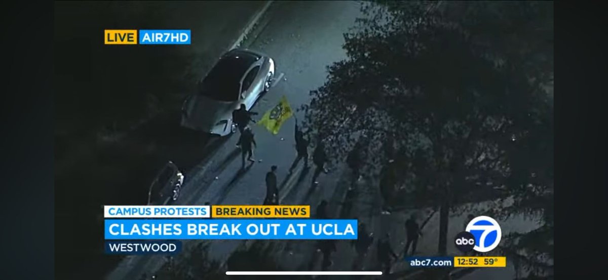 Violent Zionist thugs wave the flag of the messianic Chabad cult on their way to assaulting anti-genocide protesters at UCLA