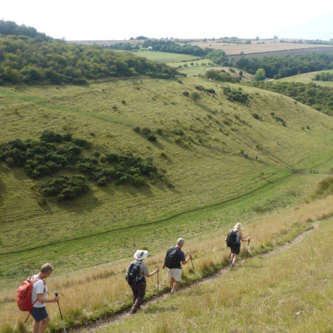 To mark the 30th anniversary of the Chalkland Way, a new commemorative bench has been installed at Jessop's plantation, sponsored by Ultra Trails. The perfect spot to enjoy the magnificent view across Millington Dale loom.ly/sZ9SG0s #YorkshireWolds