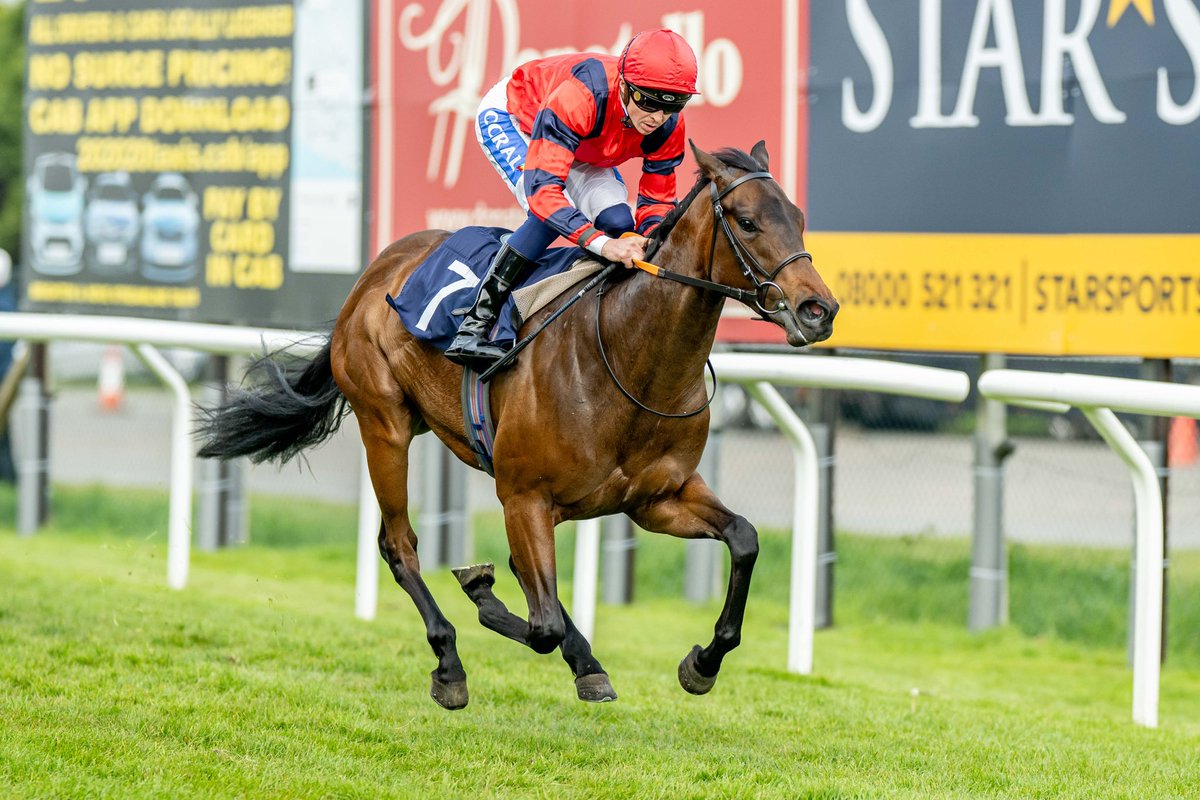 RACE 2 RESULT - Yeeehaaa.Bet EBF Restricted Maiden Stakes 

🥇 Daisy Inthe Breeze
🥈 Sir Geoff Morgan 
🥉 Coiled 

Jockey: @davidprobert9 
Trainer: Dominic Ffrench Davis
Owner: Mrs Wendy Edwards 

@dcoolimages 📸

#BrightonRacecourse