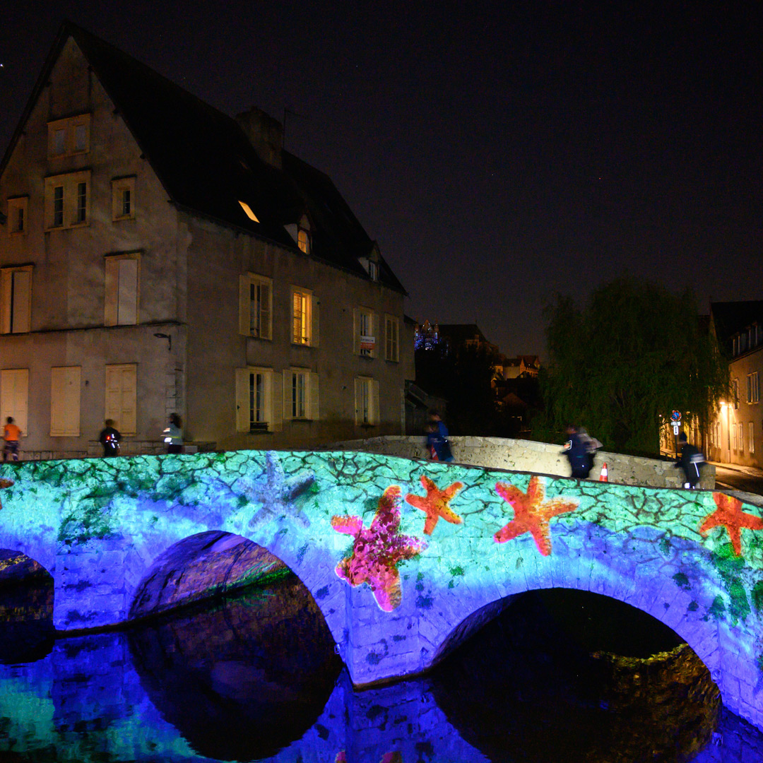 Chartres en lumières aussi a de jolis ponts ► chartresenlumieres.com/fr/chartres-en… 🌉✨

Chartres en lumières est un événement organisé par la @villedechartres.

#Chartresenlumieres #Chartres #illumination