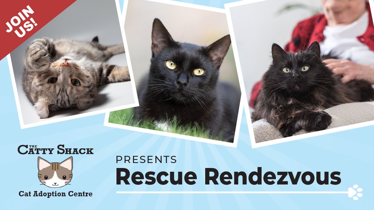 🐾🐱 Mark your calendars, cat lovers! 🐱🐾

Join us at The Catty Shack on Saturday, May 25, from 10 a.m. to 2 p.m. for a paws-itively wonderful cat adoption event hosted by the City of London! 

Details: london.ca/rescuerendezvo…

#CatAdoption #LdnOnt