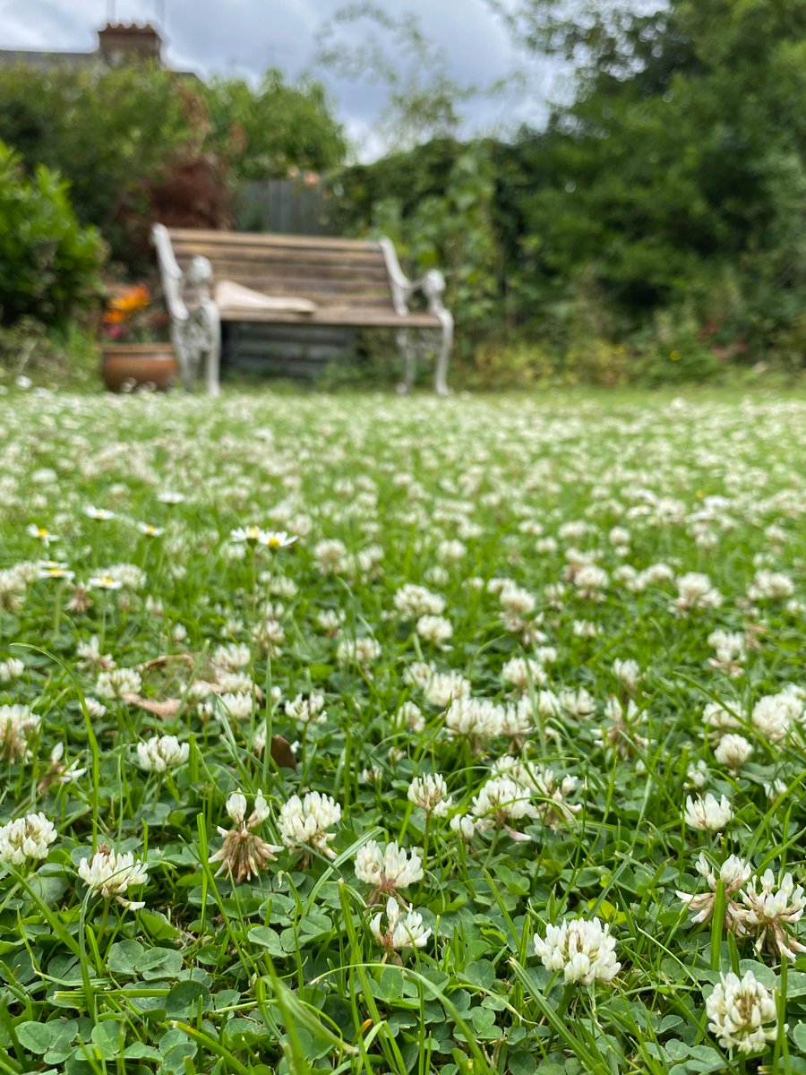 Seedball is again supporting Plantlife’s No Mow May™ challenge and encouraging you to pack up your lawnmower this May. As you know – wildflowers attract pollinators!
plantlife.org.uk/campaigns/nomo…
#nomow