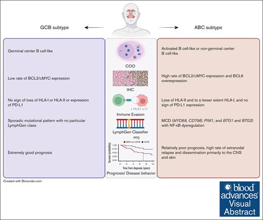 ABC and GCB subtype sinonasal DLBCL are geno- and phenotypically distinct entities, exhibiting a contrasting disease course and prognosis. ow.ly/lFOO50Rmt9n #lymphoidneoplasia