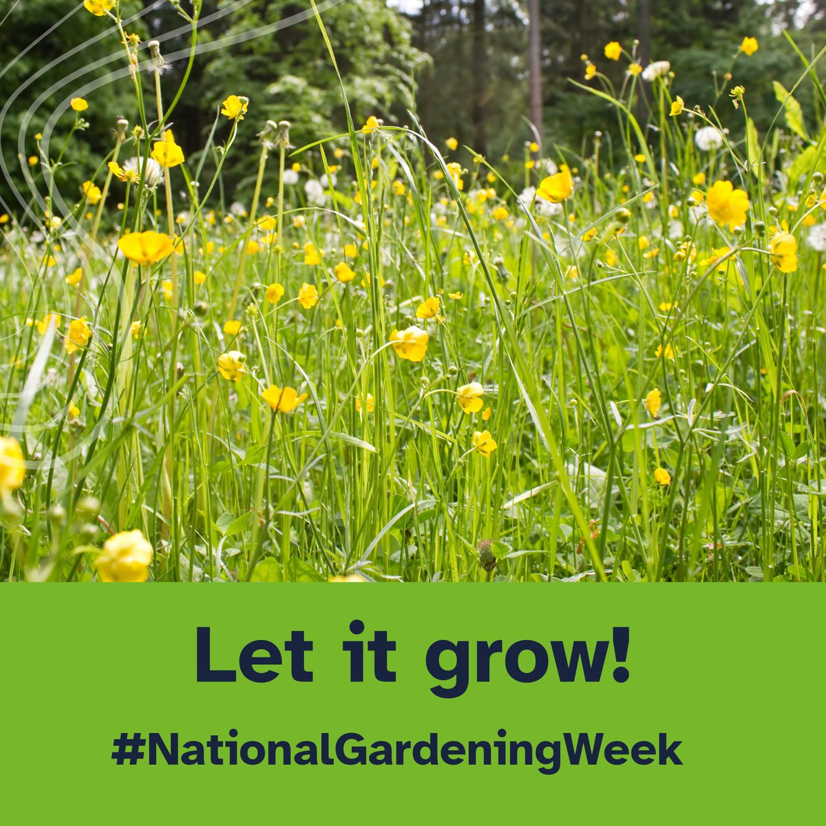 This #NationalGardeningWeek let it grow! Letting your grass grow longer can help increase biodiversity and provide space for pollinators From the whole garden to a small corner or window box we can all do our bit to help nature where we live More info 👉 orlo.uk/jooiQ