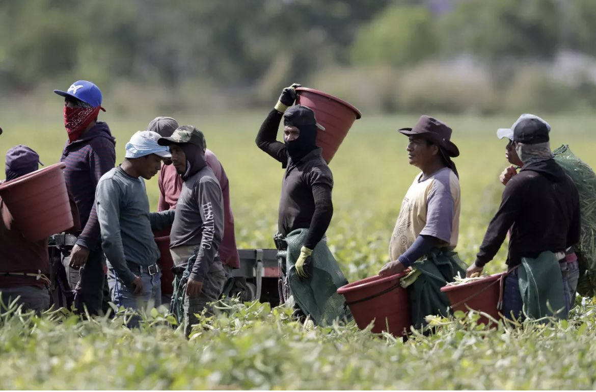 🇬🇹📢Mis respetos y admiración para todos los trabajadores guatemaltecos que día con día salen a buscar el sustento para sus familias. Los logros laborales de hoy, son el resultado de la lucha y sacrificio de muchos, sigamos luchando 💪🏾 ‼️Especialmente mi admiración y respeto a…