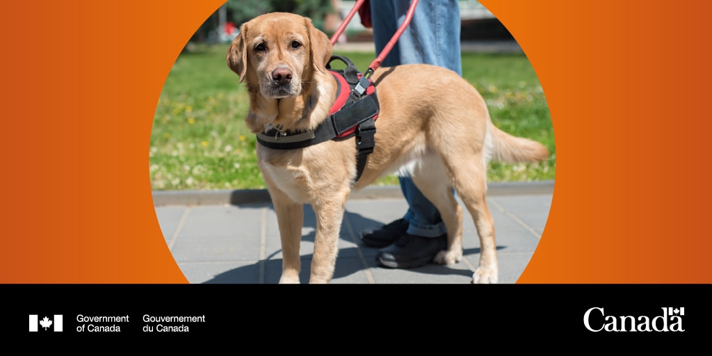 Pets and service animals are family too! Make sure your fur babies are safe during emergencies with these tips. #GetPrepared ow.ly/ZlPn50RgguM
