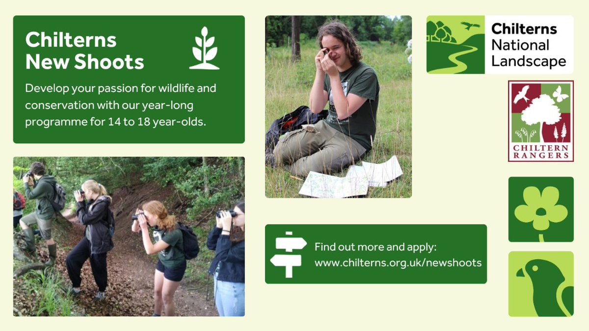🚨Applications are now open for the Chilterns New Shoots programme! 🚨 Do you know a young wildlife enthusiast aged 14-18 who is looking for hands on conservation experience? New Shoots could be for them! 👇Find out more (closing date Monday, 3 June) bit.ly/44CFXhf
