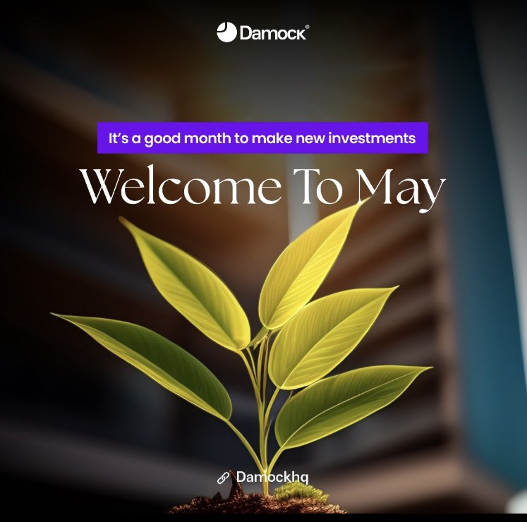 Make May the month of new investments with Damock. Welcome to a prosperous future!🌱💰