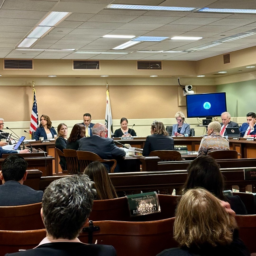 We are fighting coast to coast to ensure A.I. protections for #SagAftraMembers!

SAG-AFTRA VP, Actors/Performers Shari Belafonte testified in Sacramento on Tuesday. Special thanks to @BauerKahan @Ash_Kalra and members of the Assembly Judiciary Committee for supporting AB 1836.