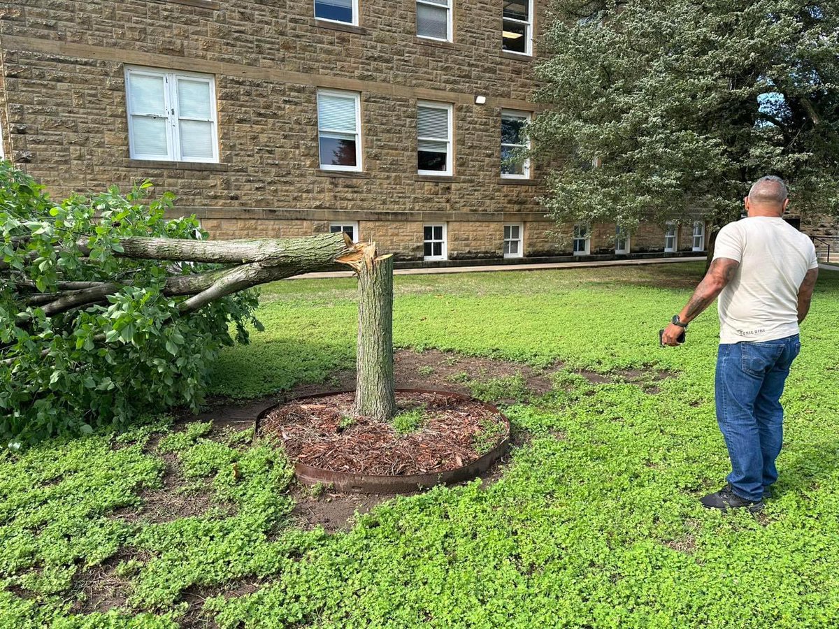 Last night, someone came onto the Osage Nation campus and cut down the “Million Dollar Elm” tree planted in 2014. The tree replaced the historic million dollar elm tree where the Bureau of Indian Affairs held auctions for oil lease sales in the 1900s. ON Police have been notified