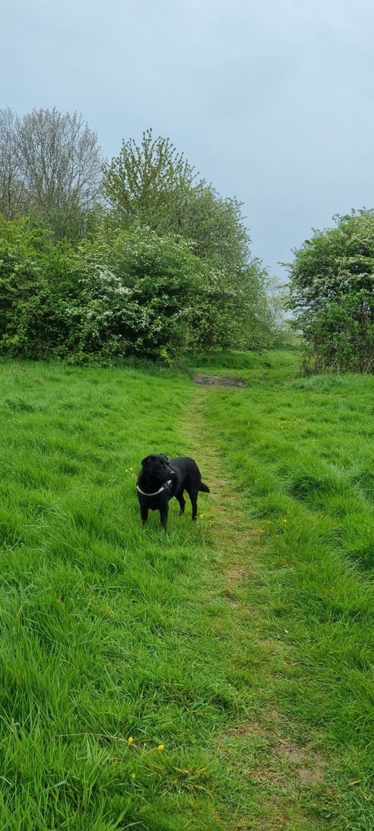 There's not much better than a warm drizzle on a spring evening