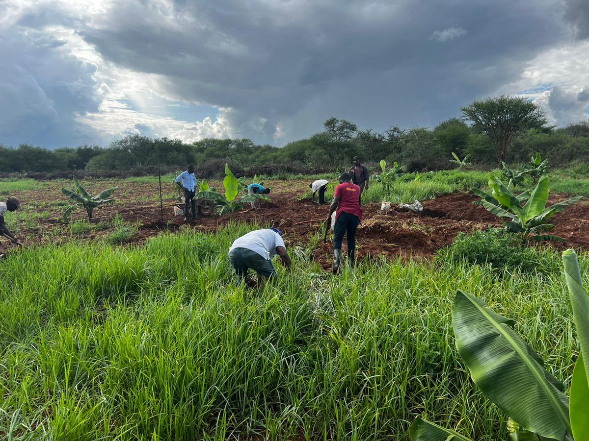 honkabogo's tweet image. Farming is a big deal