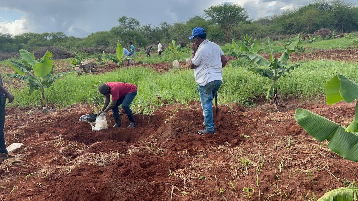 honkabogo's tweet image. Farming is a big deal
