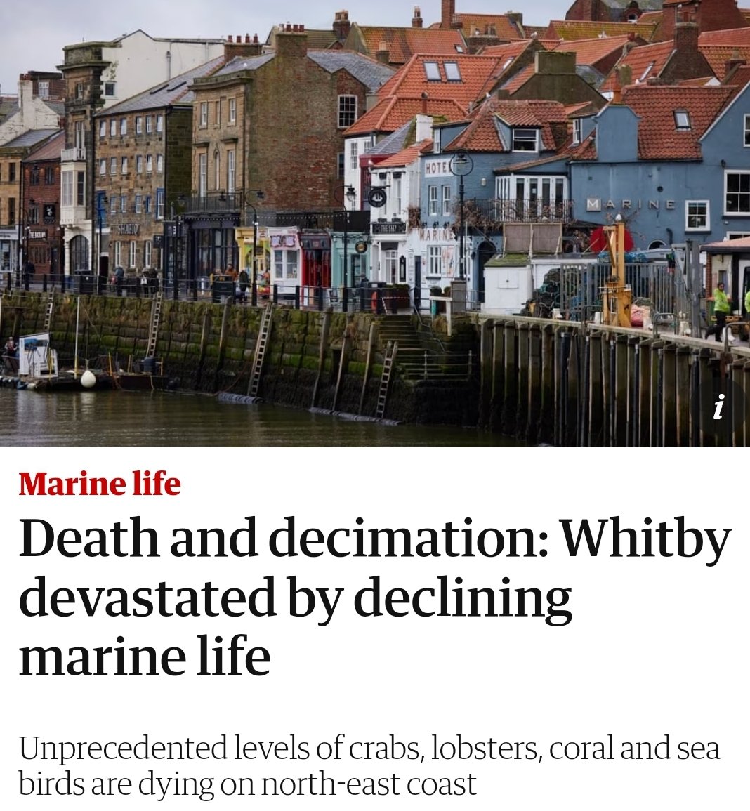 @keane_duncan Your Brexit & your tory sewage disgrace has decimated Whitby.