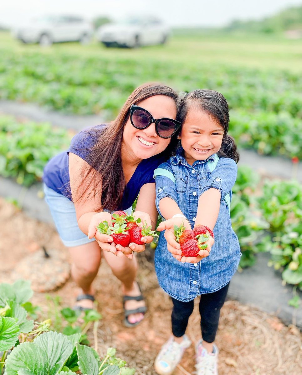 Nothing is better than the sweet taste of a fresh strawberry you picked yourself!🍓😋
Right here in Rowan County, Patterson Farm strawberry fields are open with options to pick your own Tuesday through Sunday. Until the start of June, immerse yourself in the rows of lush berries.