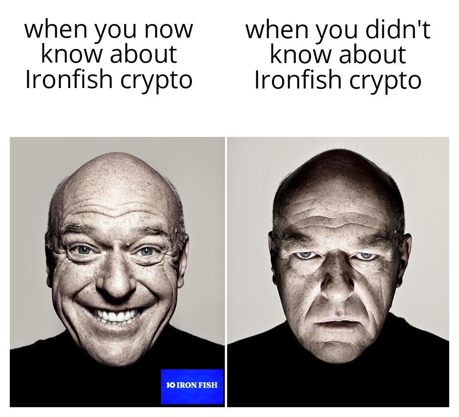 @ironfishcrypto has so much to offer when it comes to crypto security 💯💪

Don't miss out on this❕
Dive in with us 🚀🚀
#ironfishcrypto #cryptosecurity