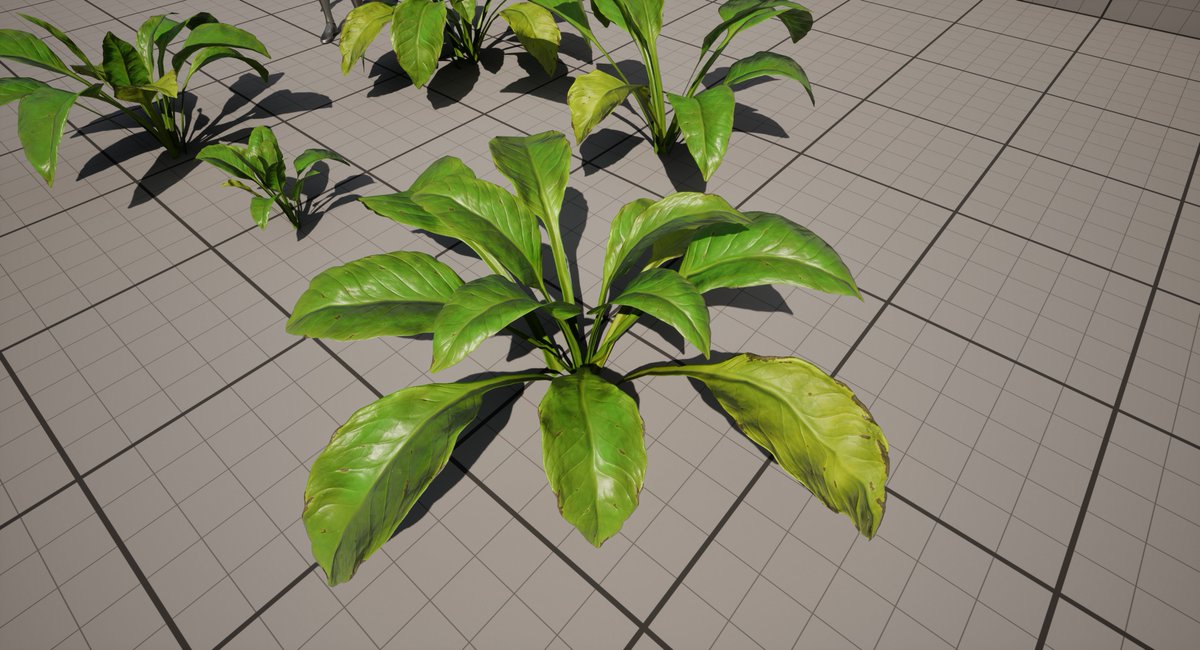 Made some Skunk Cabbage. Unreal Engine.
#UE5 #SpeedTree #MadeWithSubstance #Zbrush #noAI