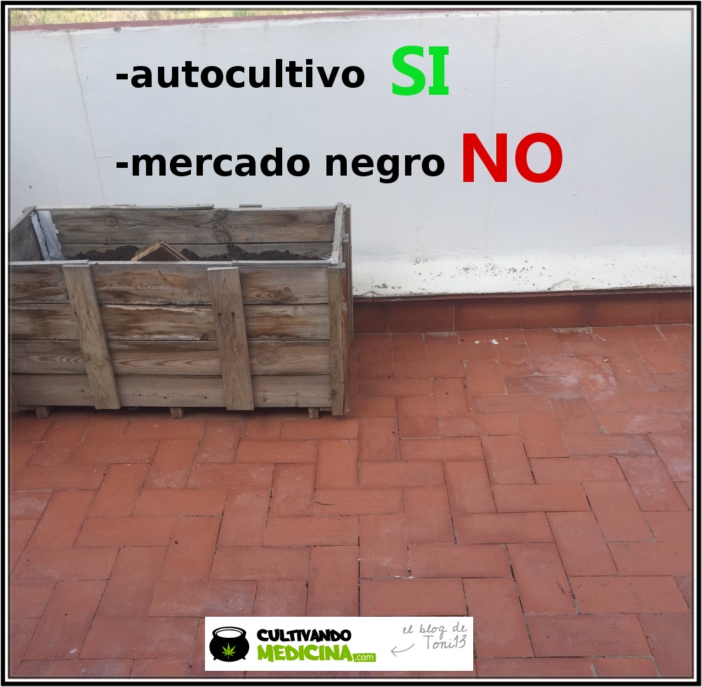 Aquí en España comenzamos el cultivo de exterior y hay que autocultivar para no tener que recurrir al mercado negro.
Una terraza así de vacía esta fea, hay que darle color y ser autosuficiente.
#toni13 #autocultivo #yoplanto