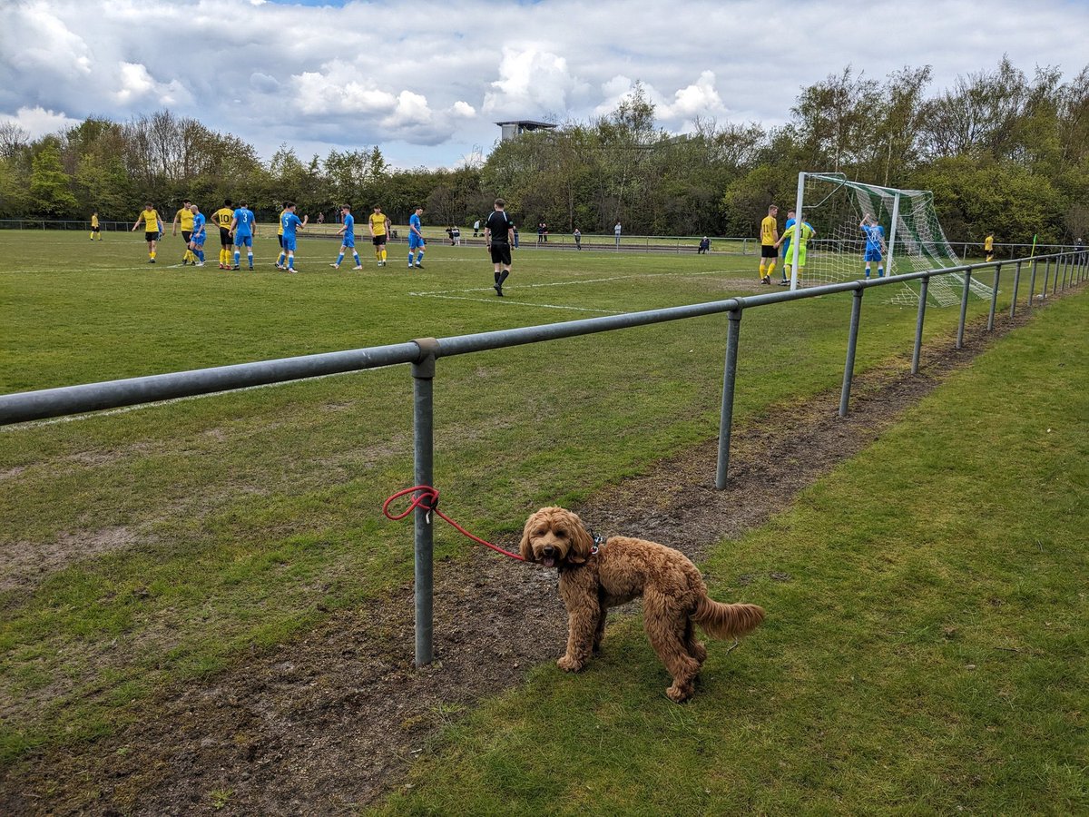 Alfie at McKenna Park today, temporary home of @GlasgowUniFC v @Muirkirkjfc 📸 @MarkoftheRennie