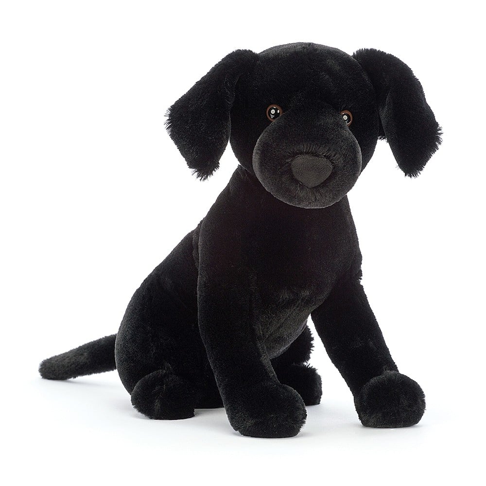 ♡ Pippa Black Labrador