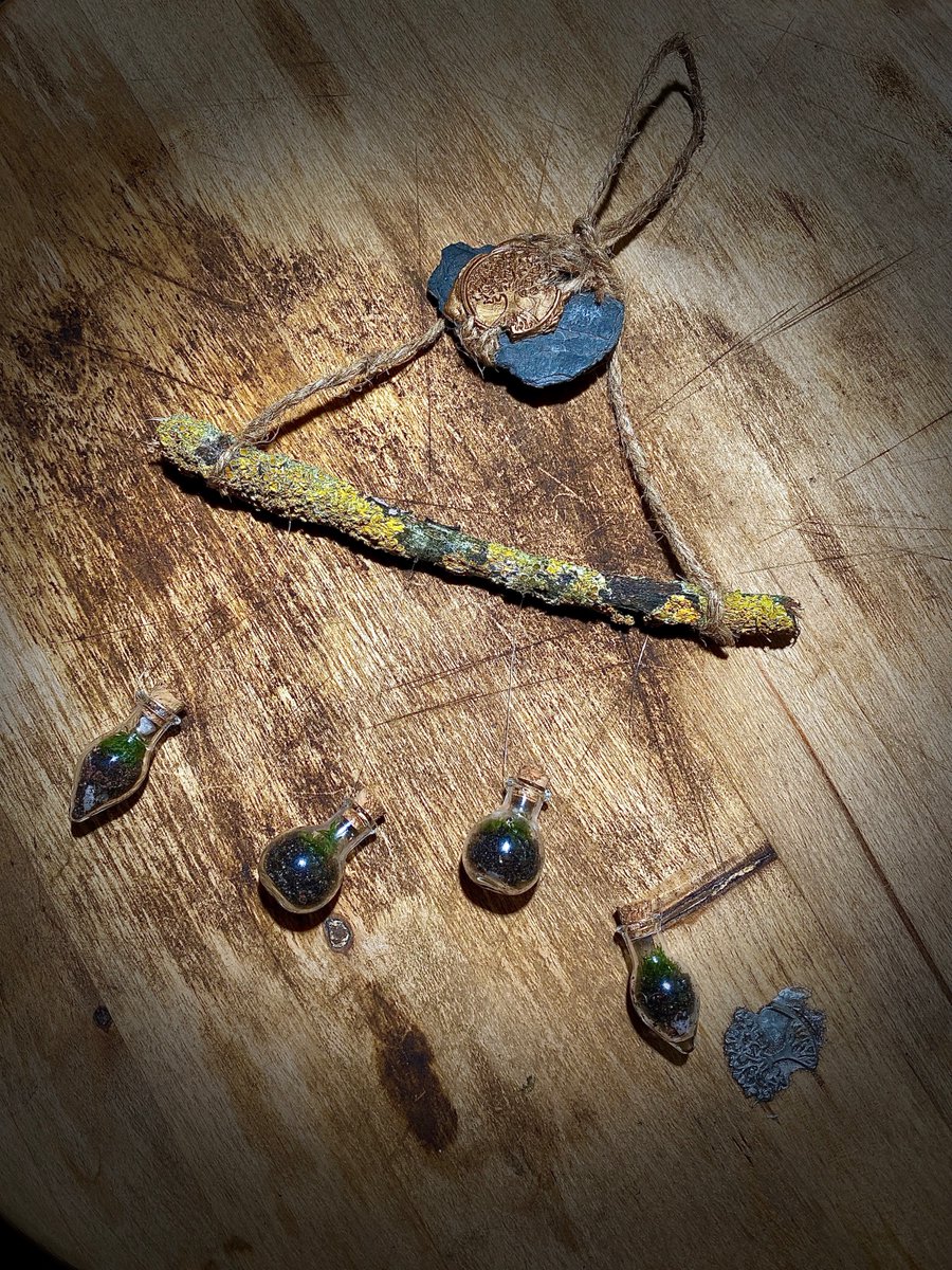 Mobile mini fiole 'mossarium' fait main à decouvrir bientot ;)🍄🌿🪴🌱🪵🌲🐜☘️ #terrarium #faitmain #naturelovers #mobilenature #fiole
