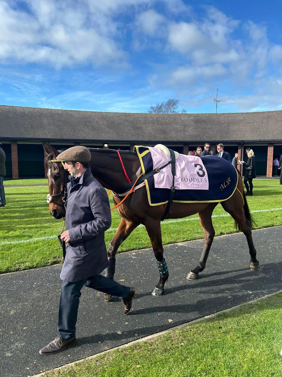 Fastorslow wins the @Ladbrokes @punchestownrace Gold Cup (Grade 1), unseated at the #CheltenhamFestival but bounces back in style at the #PunchestownFestival 🐎