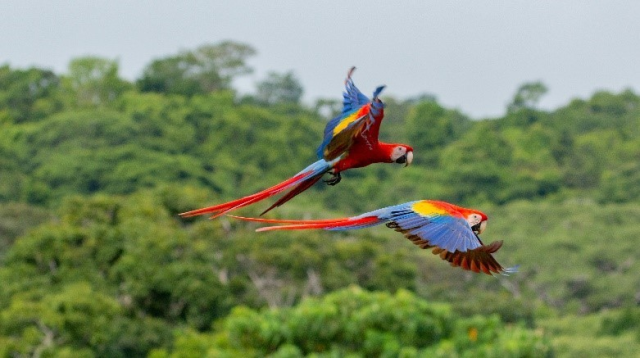 TheresaCoach's tweet photo. With a five-step approach, companies can set nature-positive goals to reduce #risk exposure, protect the #environment, and benefit from a transition to #sustainable socioeconomic systems. https://t.co/y4UXPXPCMv https://t.co/mLqZk2w1vp