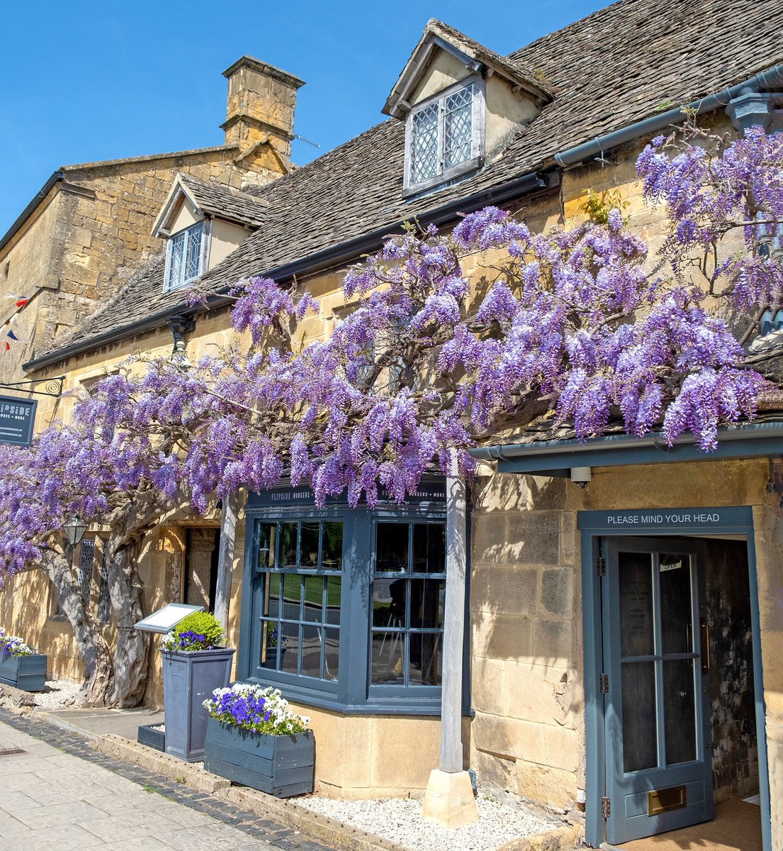 What's coming up in the Cotswolds in May? 💙 See bluebells carpeting the woods 🎵Chipping Campden @ccmusicfest (11–25 May) 🥾 Winchcombe Walking Festival (17–19 May) 🚂 The @gwsr Festival of Steam (25–27 May) 🧀 Cheese rolling at Cooper’s Hill (27 May)